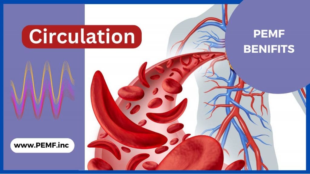 Blood circulation and PEMF therapy