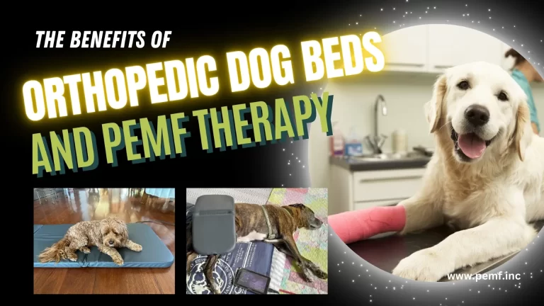 Orthopedic dog beds - PEMF Inc